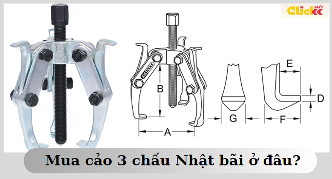 mua cảo 3 chấu nhật bãi ở đâu.png